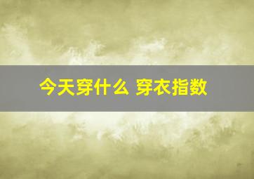 今天穿什么 穿衣指数